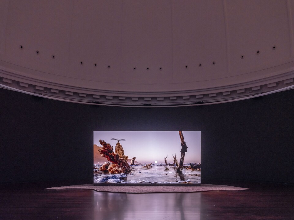 Installationsansicht der Ausstellung The Ephemeral Lake – Eine digitale Installation von Jakob Kudsk Steensen, 12. April bis 27. Oktober 2024, Hamburger Kunsthalle  © Courtesy the artist  © Hamburger Kunsthalle,  Foto: Christoph Irrgang