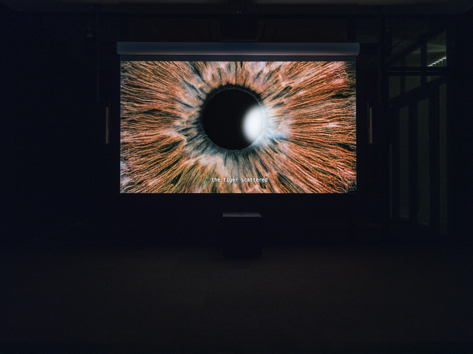 Ho Tzu Nyen (*1976), One or Several Tigers (Installationsansicht, Hamburger Kunsthalle, 2025–2026), 2017, Sammlung des Singapore Art Museum © Courtesy of the artist, Kiang Malingue, neugerriemschneider und Singapore Art Museum, Foto: Fred Dott
